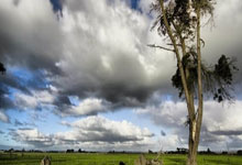 关于曼城重伤倒地，海港全队围拢祈祷，场面感人的信息