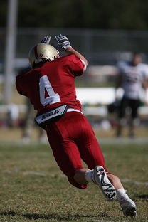 明晨全明星赛前瞻：布伦森伤情更新，波尔图冲击不败纪录